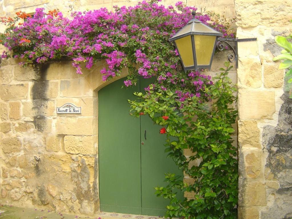 "Steves Villas" Villa Ta Rosi Xagħra Pokój zdjęcie